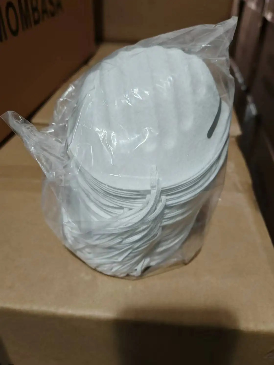 Disposable Dust Mask.